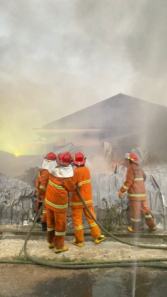 Gudang Isi Styrofoam di Untung Suropati Dilalap Si Jago Merah, Dinas Damkar Bandar Lampung Terjunkan 5 Unit Damkar dan 23 Personil