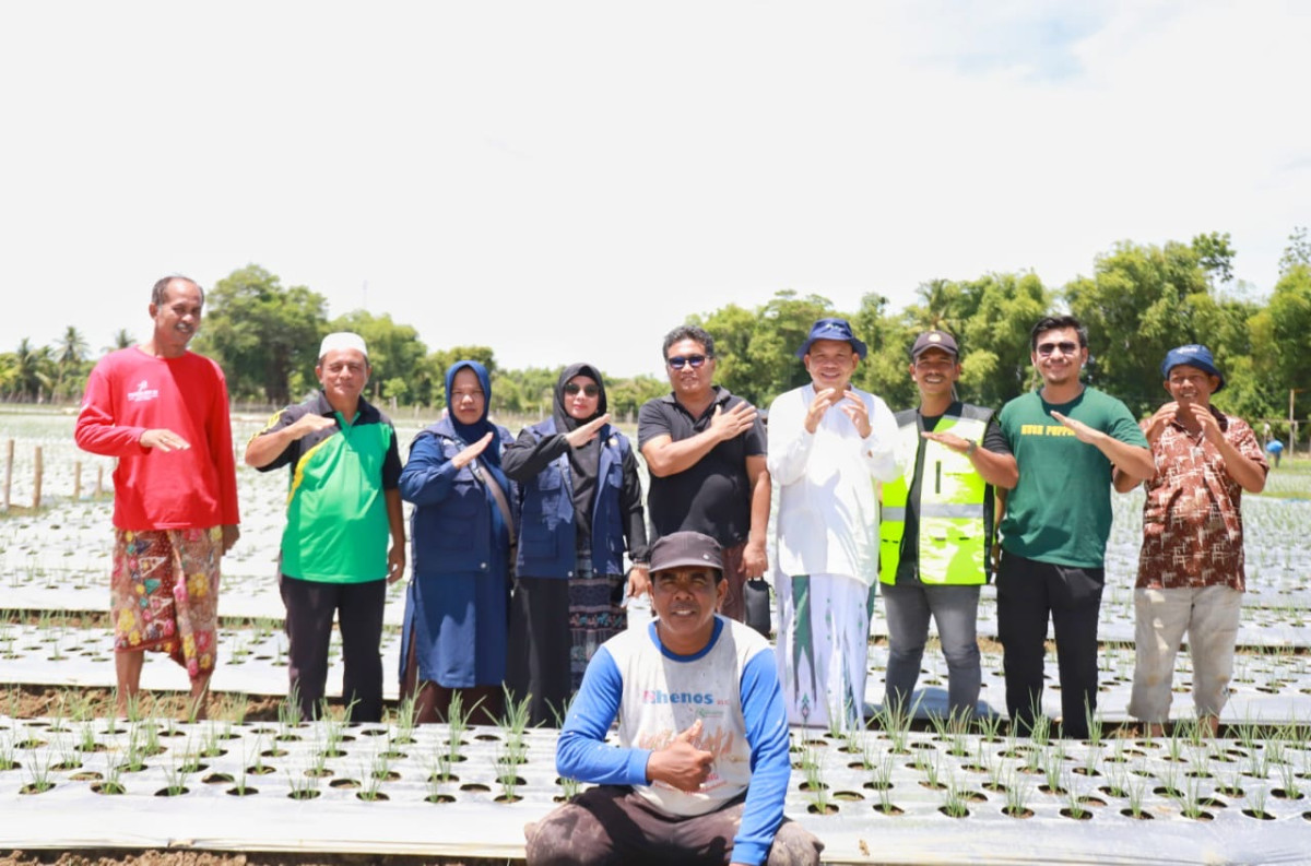 Tanggulangi 5 Masalah Besar, PJ Bupati Pidie Berharap Pidie Menjadi Sentra Bawang Merah Nasional